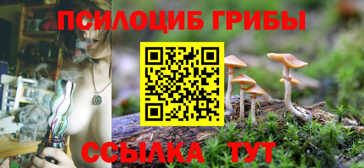 Галлюциногенные грибы прущие грибы Псков
