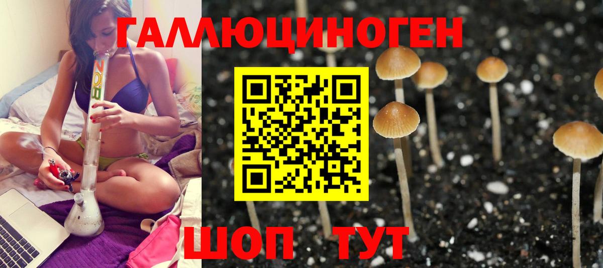 Псков  Галлюциногенные грибы Magic Shrooms  закладки  Вход с VPN 